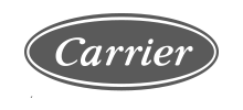 Carrier